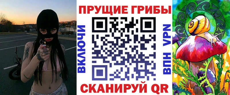Галлюциногенные грибы Cubensis  нарко площадка официальный сайт  Белозерск 